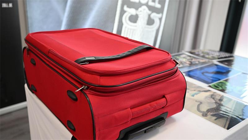 Giftschlangen in Shampoo-Flaschen, Echsen in Socken In dem Koffer steckten 37 Giftschlangen und 55 Echsen.