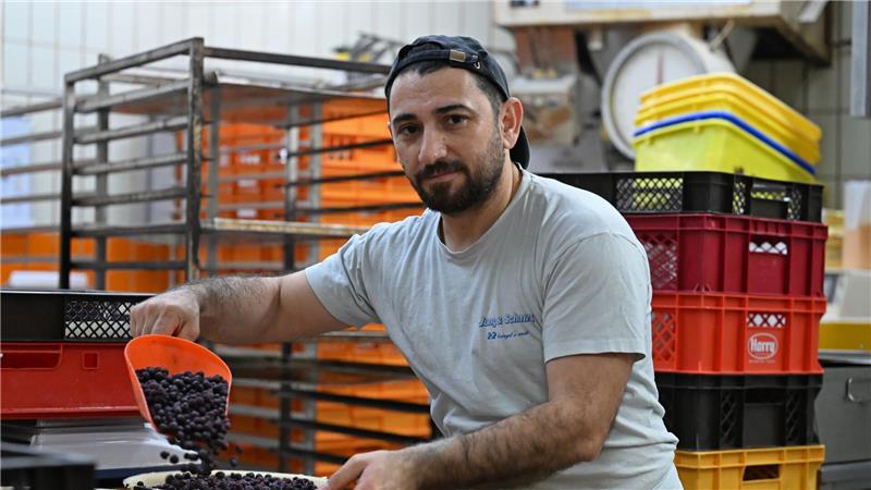 In den Bereichen Medizin, Pflege und Gastronomie sind Menschen aus Syrien, die einst als Flüchtlinge kamen, als Arbeitskräfte geschätzt. (Symbolbild)