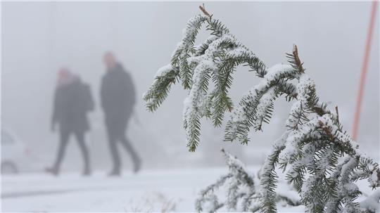 In den Mittelgebirgen wie dem Harz wird am Mittwoch Neuschnee erwartet.