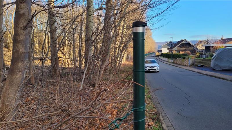 In den Randbereichen, hier am Hansaweg, sollen künftig deutlich mehr Sträucher zu finden sein.