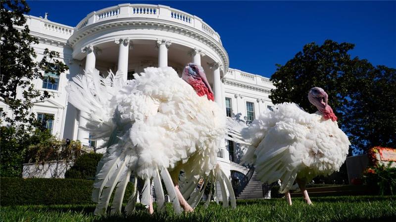 US-Medien geben Tipps für ein harmonisches Thanksgiving In den USA wird das Erntedankfest gefeiert.