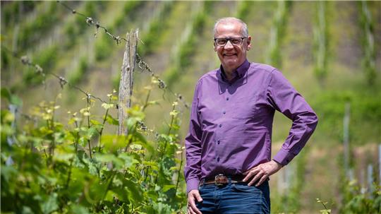 In den Weinbergen wächst ausschließlich Riesling.
