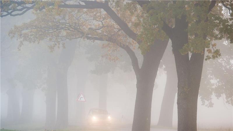 In den allermeisten Ecken Deutschlands bleibt es auch in den kommenden Tagen weitgehend trüb, etwas Hoffnung auf Sonne gibt es für den Südwesten. 