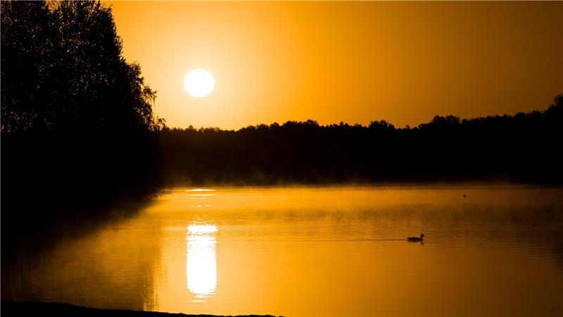 In den kommenden Tagen gibt es viel Sonne und frühlingshafte Temperaturen in Niedersachen und Bremen.