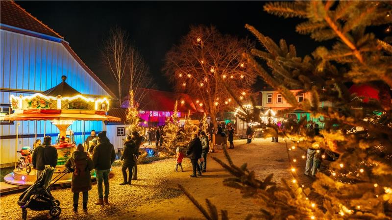 In den vergangenen zwei Jahren lockt der Advent im Gestüt die Besucher zu Tausenden aufs stimmungsvoll illuminierte Gelände.