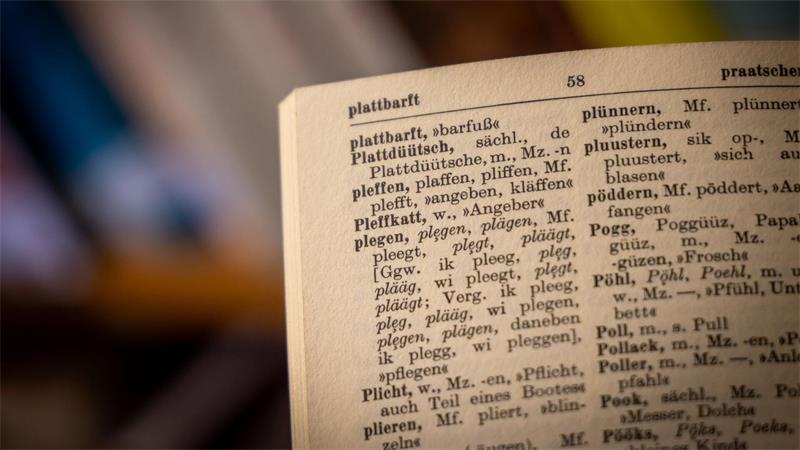 In der Bibliothek sind auch viele Wörterbücher zu finden. 