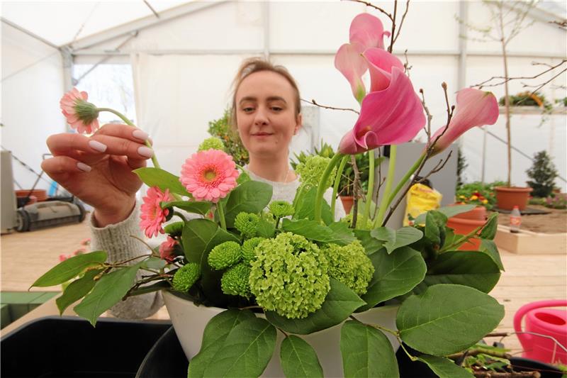 Landesgartenschau in Bad Gandersheim startet heute In der Blumenschau geht es auch um Gestecke. Floristin Elena Ostapenko hat kurz vor Laga-Beginn alle Hände voll zu tun. Foto: Gereke