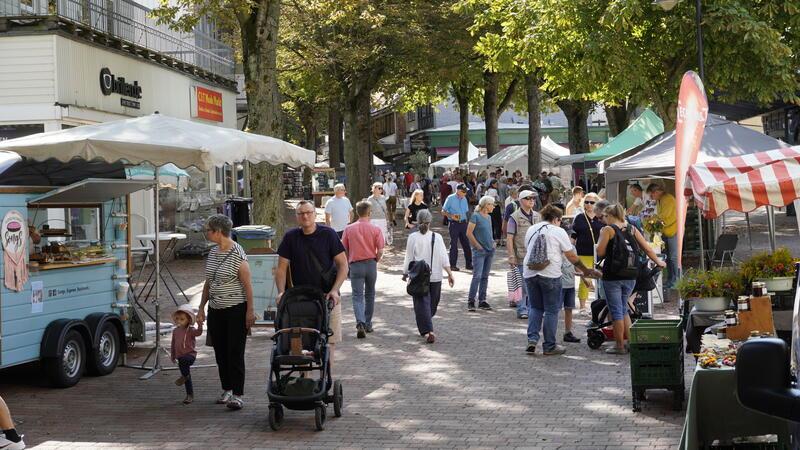 Ist Bad Harzburgs Öko-Markt eine gute Veranstaltung? In der Bummelallee herrscht beim 33. Öko-Markt reges Treiben.