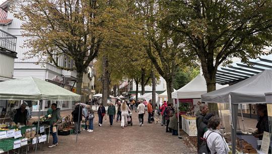 Markt mit Ständen und Menschen unter Bäumen in einer gepflasterten Straße.