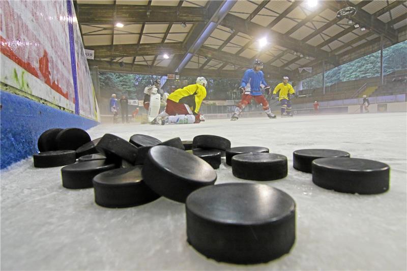 Eishockey-Regionalliga: Crocodiles nun doch nicht dabei In der Eishockey-Regionalliga Nord gehen nur noch neun Mannschaften an den Start. Foto: GZ-Archiv