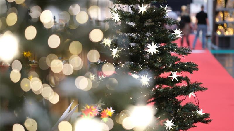 In der GZ-Adventsserie 2024 erzählen Leserinnen und Leser Geschichten von besonderten Weihnachtsbäumen.