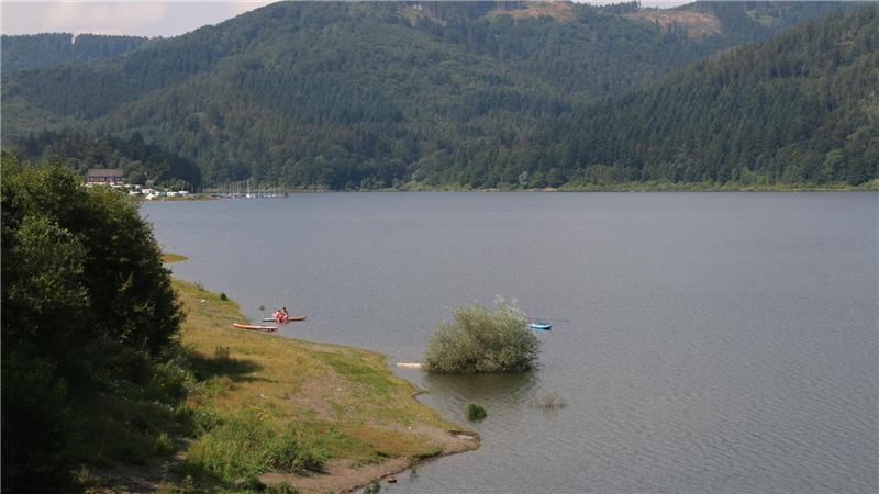 Leiche des 40-jährigen Langelsheimers am Innerste-Ufer aufgetaucht In der Innerstetalsperre ereignet sich Ende Juni ein tödlicher Badeunfall.