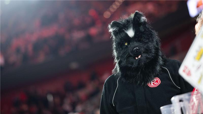 In der Karnevalshochburg Düsseldorf kamen viele Fans verkleidet ins Stadion.