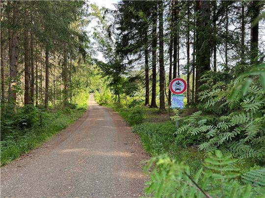 In der Kollie soll ein Neubaugebiet entstehen. Foto: Eggers