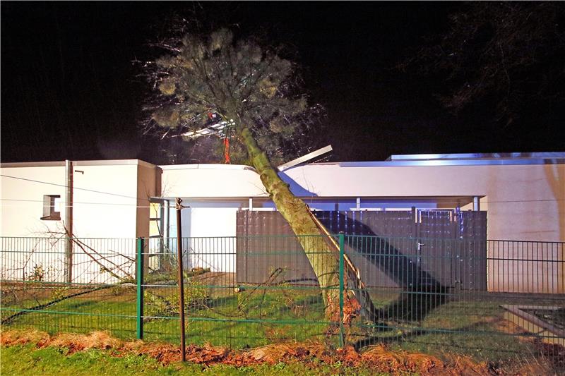 In der Nacht zu Montag kracht ein 15 Meter hoher Baum auf die Kita St. Paulus. Fotos: Epping
