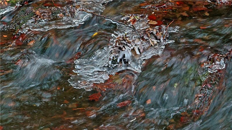 Fließendes Wasser mit Eisbildung an Ästen und herabgefallenen Blättern im Bachlauf.