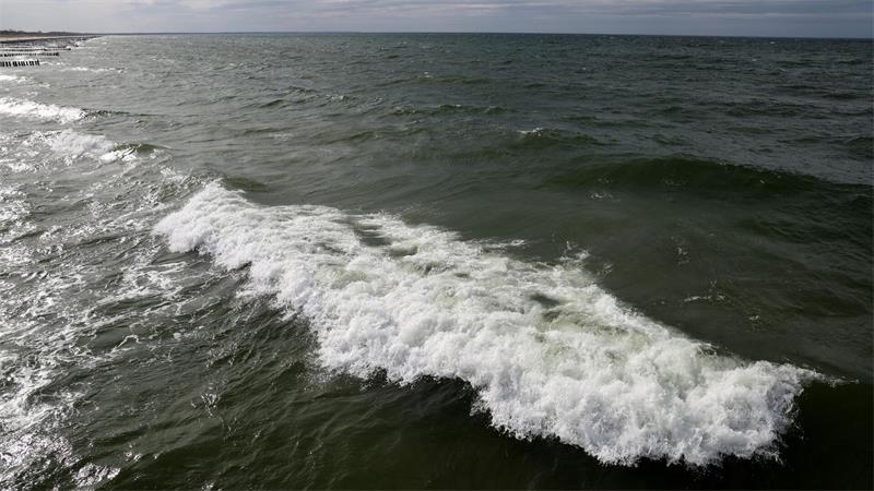 In der Ostsee vor dem polnischen Seebad Miedzyzdroje wurde ein Wal gesichtet. (Archivbild)
