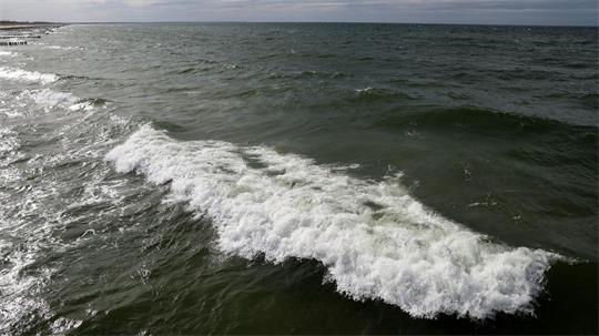 In der Ostsee vor dem polnischen Seebad Miedzyzdroje wurde ein Wal gesichtet. (Archivbild)