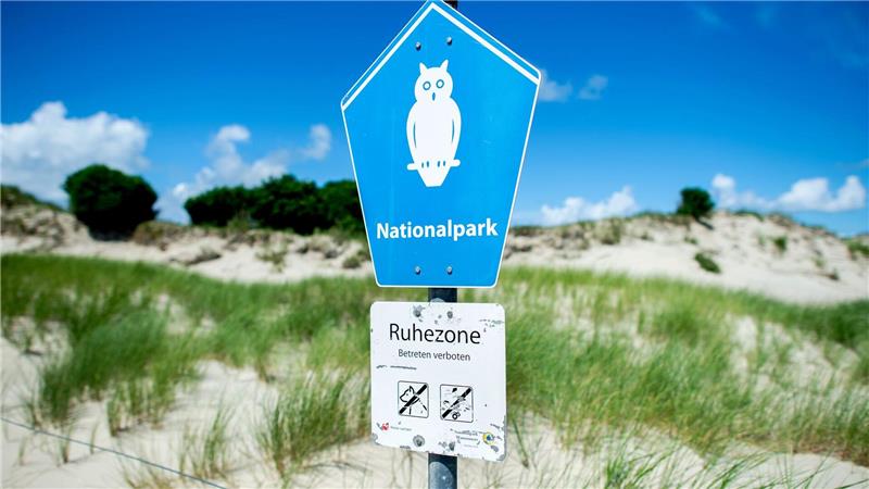 Mann scheucht für besondere Fotos 20 Seehunde auf In der Ruhezone des Nationalparks Niedersächsisches Wattenmeer gelten die strengsten Schutzbestimmungen. (Archivbild)