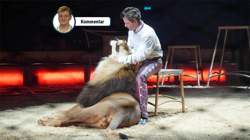 Ein Dompteur sitzt in der Manege auf einem Hocker und hält einen liegenden Löwen am Kopf. Der Löwe liegt vor ihm auf dem Sandboden. Im Hintergrund sind weitere Hocker, das Sicherheitsnetz und die beleuchtete Manege zu sehen.