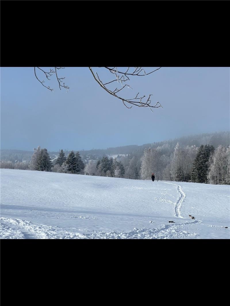 Das sind die häufigsten Vornamen in Braunlage In der Stadt Braunlage (im Foto ist der Blick vom Schmiedeberg aus auf die Kernstadt zu sehen) mit ihren insgesamt 5559 Einwohnern heißen die meisten Menschen Michael. Foto: Eggers
