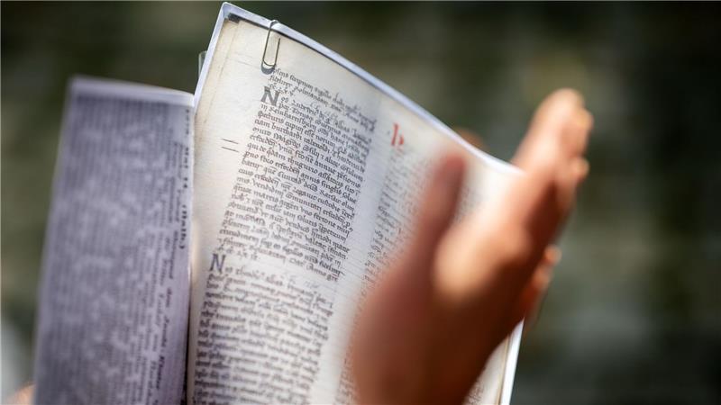Kampf um die (Brat)Wurst? - Forscher finden uralte Urkunde In der Urkunde von 1269 - hier eine Kopie - ist ein Bräter erwähnt.