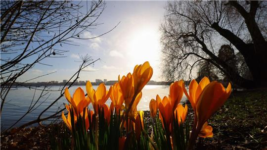 In der nächsten Woche wird es wieder wärmer und sonniger.