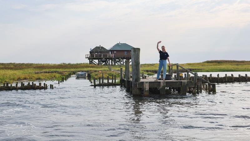 Betreten verboten: Auf einigen Inseln leben nur Vogelwarte In der warmen Jahreszeit lebt und arbeitet auf den Vogelinseln ein Vogelwart oder eine Vogelwartin. Auf Norderoog ist es dieses Jahr Nele Waltering.