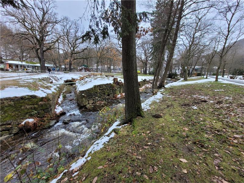 In diesem Bereich des Kurparks soll die Schaukel im Frühjahr errichtet werden. Foto: Exner