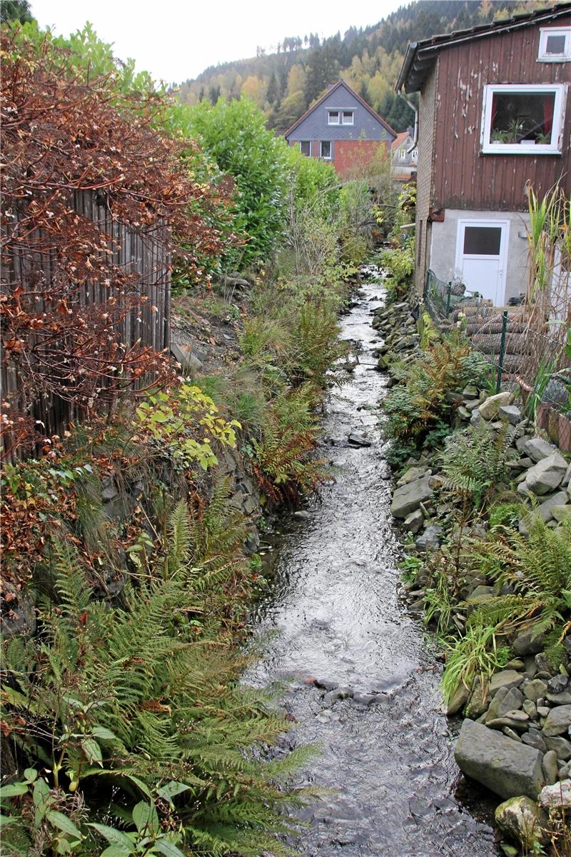 In diesem Jahr wird das Bauvorhaben „Laute“ nicht mehr verwirklicht.  Foto: GZ-Archiv