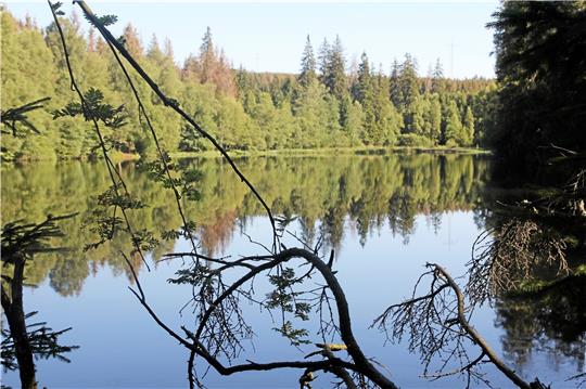 In diesen Tagen ist der Silberteich als Badegewässer beliebt. Wer allerdings in den erfrischenden Fluten schwimmen will, muss einen langen Spaziergang auf sich nehmen.