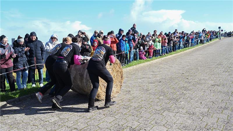 In Ostfriesland werden „Strohballen-Rollmeister“ gesucht In drei Kategorien (Männer-, Frauen- und Mixteams) wird jeweils ein „Strohballen-Rollmeister“ gesucht. (Archivbild)
