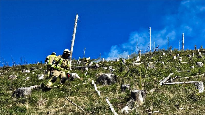 Flächenbrand in Goslar: Feuerwehr löscht Feuer im Gelmketal In einem Waldgebiet oberhalb des Gelmketals brennt es.