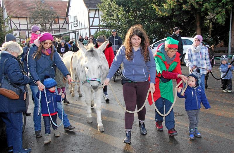 In einem bunten Zug ging es mit Mensch und Tier durch das Dorf. Foto: Hohaus