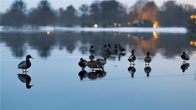 In einigen Gewässern können die Wasserstände infolge der schmelzenden Schneemassen in den kommenden Tagen etwas ansteigen.