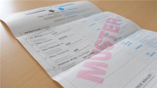 In einigen Kommunen des Wahlkreises Goslar-Northeim-Göttingen II waren Musterstimmzettel an Wähler verschickt worden. Es war nicht die einzige Panne bei der Bundestagswahl.