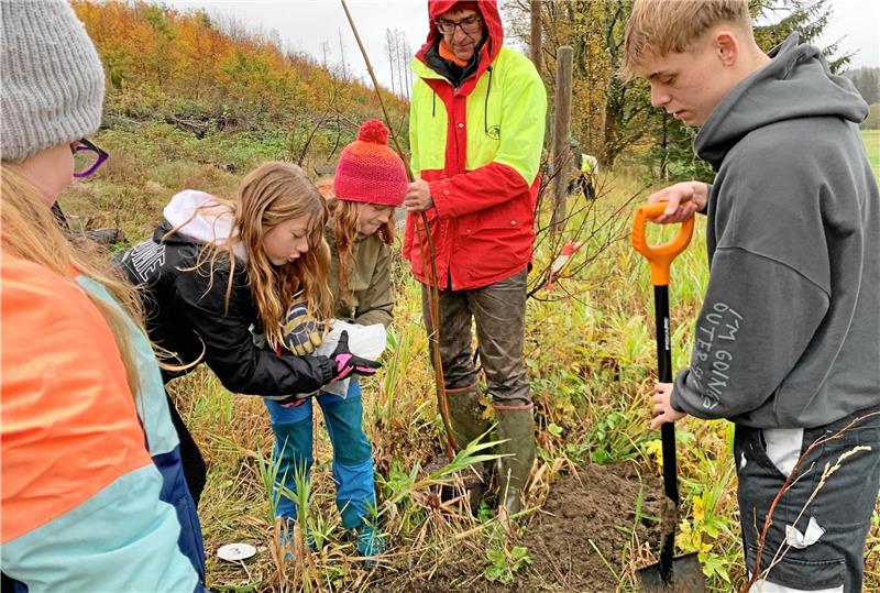 In gemischten Teams setzen Grundschüler und Gymnasiasten die jungen Bäume in die Erde. Foto: Privat