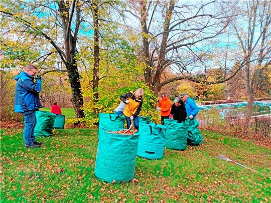 In große Gartensäcke verstauen die Helferinnen und Helfer das viele Laub, das auf den Rasenflächen im Hornburger Stadtbad liegt. Foto: privat