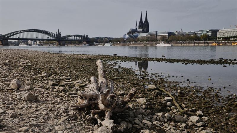 In großen Teilen Europas kam es zu Niedrigwasser - wie hier in Köln.