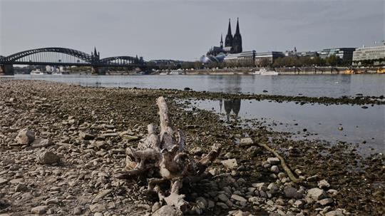 In großen Teilen Europas kam es zu Niedrigwasser - wie hier in Köln.