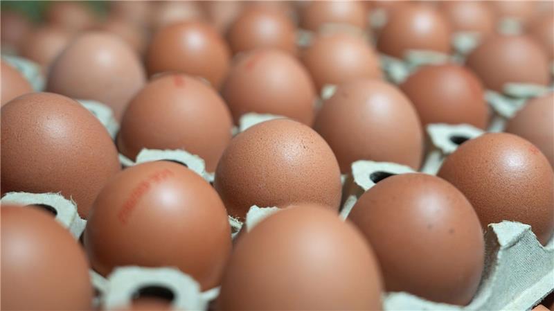 Engpass vor Ostern: Gibt es genügend Eier für alle? In manchen Lebensmittelläden sind sie gerade Mangelware: Eier. (Symbolbild)