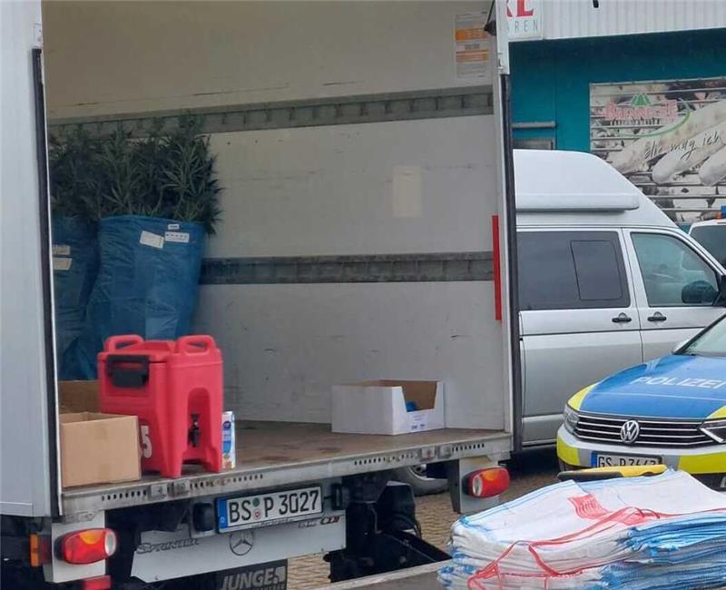 In Lkws werden die Pflanzen abtransportiert. Foto: Neuendorf