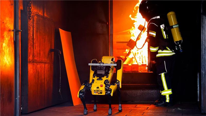 Roboter „Byte“ lernt Umgang mit Waldbränden Informatiker wollen Roboter „Byte“ den Umgang mit Flammen beibringen.
