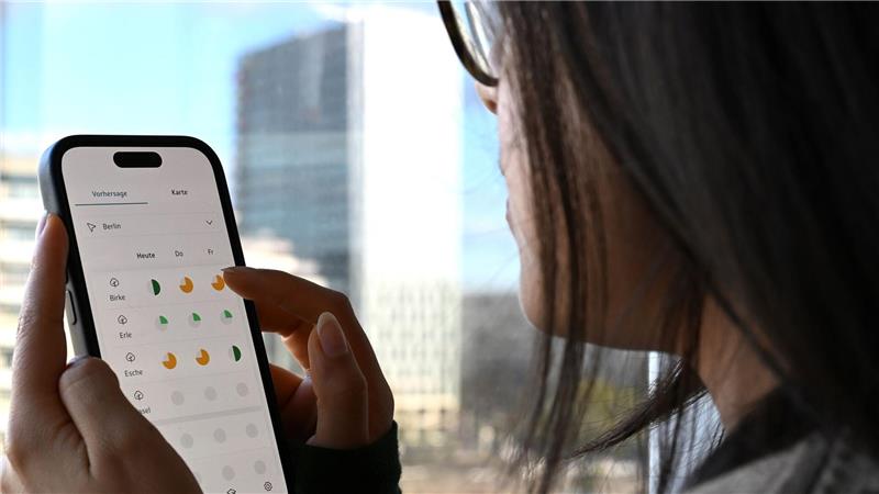 Pollen lassen Allergiker leiden: Wann ist ein Ende in Sicht? Informationen sind wichtig für Allergikerinnen und Allergiker. (Symbolbild)