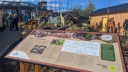 Infotafeln, interaktive Stationen und lebensgroße Tiermodelle sollen über den Wolf aufklären.