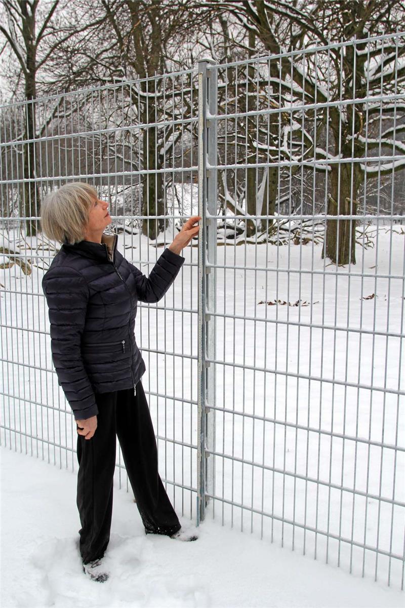 Inge Bach legt die Messlatte an den neuen Wildzaun an. Der zwei Meter lange Zollstock reicht trotz Schnees nicht ganz bis zur Oberkante.  Foto: Nöhr