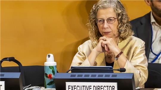 Inger Andersen, Exekutivdirektorin des UN-Umweltprogramms, stellte den globalen Umweltausblick vor. (Archivbild)