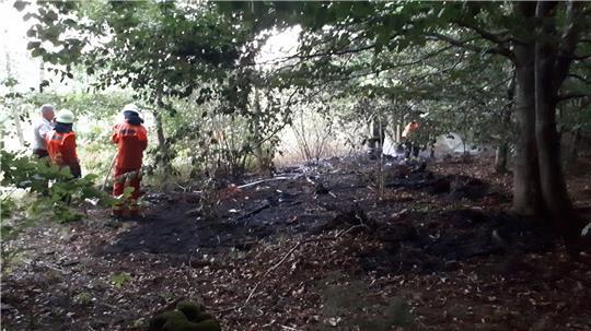 Inmitten des Laubwaldes auf dem Dittmarsberg bei Astfeld bekämpft die Feuerwehr einen Brand. Foto: Feuerwehr