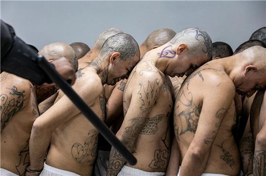Insassen, die von den Behörden als Bandenmitglieder identifiziert wurden, werden in Tecoluca in das Gefängnis für Terrorismus gebracht. Das Foto wurde von der Pressestelle des Präsidenten von El Salvador zur Verfügung gestellt.