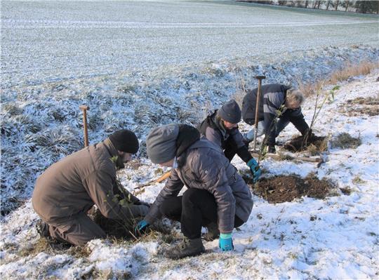 Insgesamt 14 Helfer haben sich am vergangenen Samstag bei winterlichen Temperaturen an der Pflanzaktion in der Dörntener Feldmark beteiligt und zahlreiche Sträucher im Boden versenkt. Foto: Hohaus
